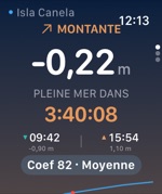 Tides Pro Apple Watch: la marée maintenant